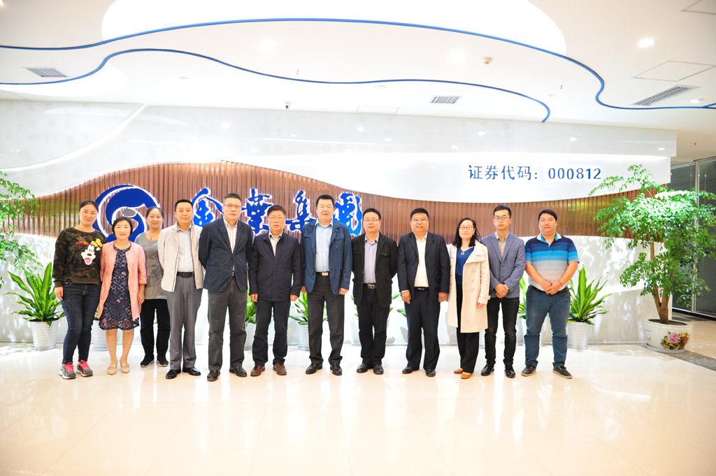 博亿国际(中国)有限公司集团信息化项目启动大会顺利召开